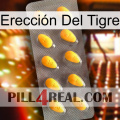 Erección Del Tigre cialis1